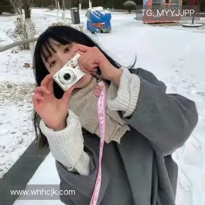 嵇蒙飚